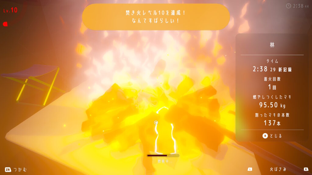 自力でレベル10到達画像