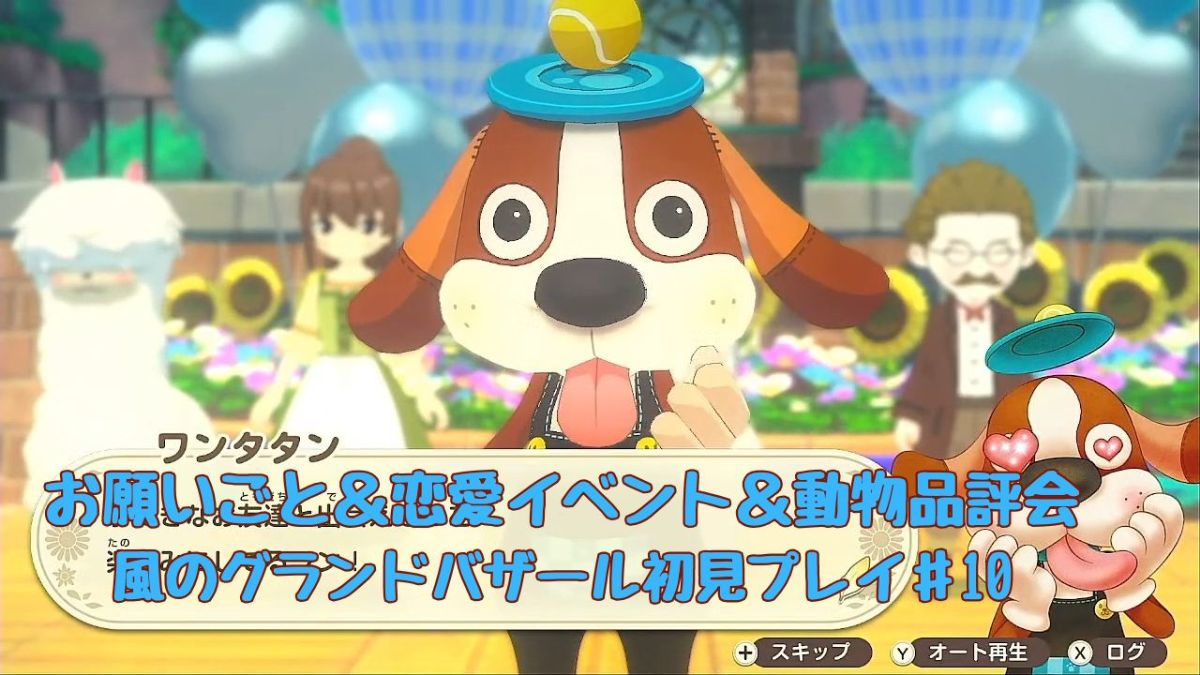 動物の品評会