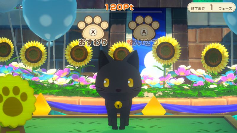 ペットコンテストの様子