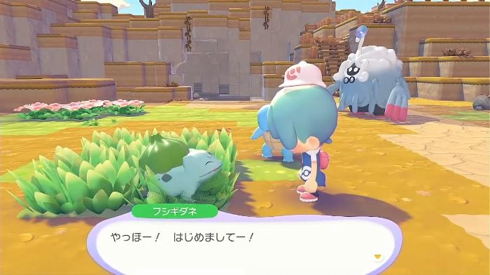 フシギダネが登場