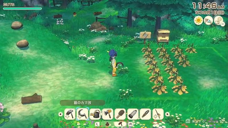 枯れた養蜂場