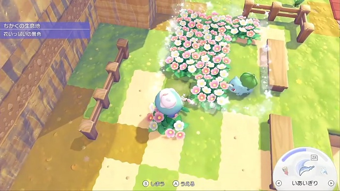 花いっぱいの景色