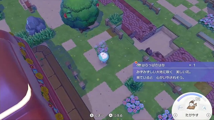 はらっぱの花を持ってる画像