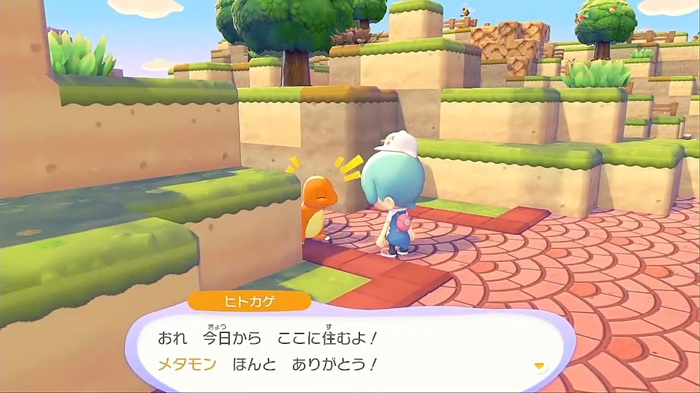 ヒトカゲのお礼