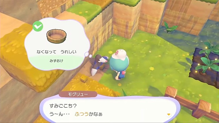 水桶を撤去