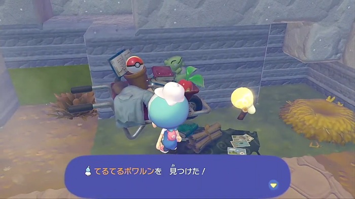 てるてるポワルンを手に入れた