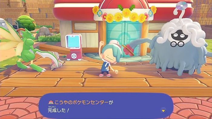こうやのポケモンセター完成