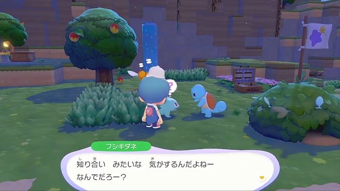 フシギダネとゼニガメ