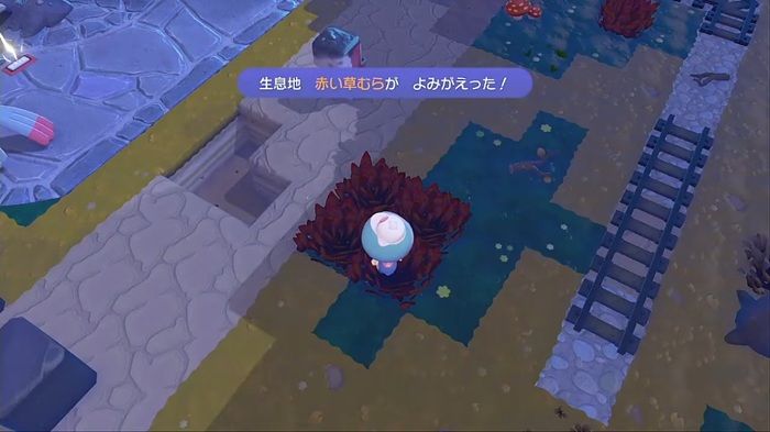 赤い草むらがよみがえった！