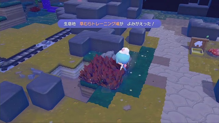 生息地「草むらトレーニング場」がよみがえった！